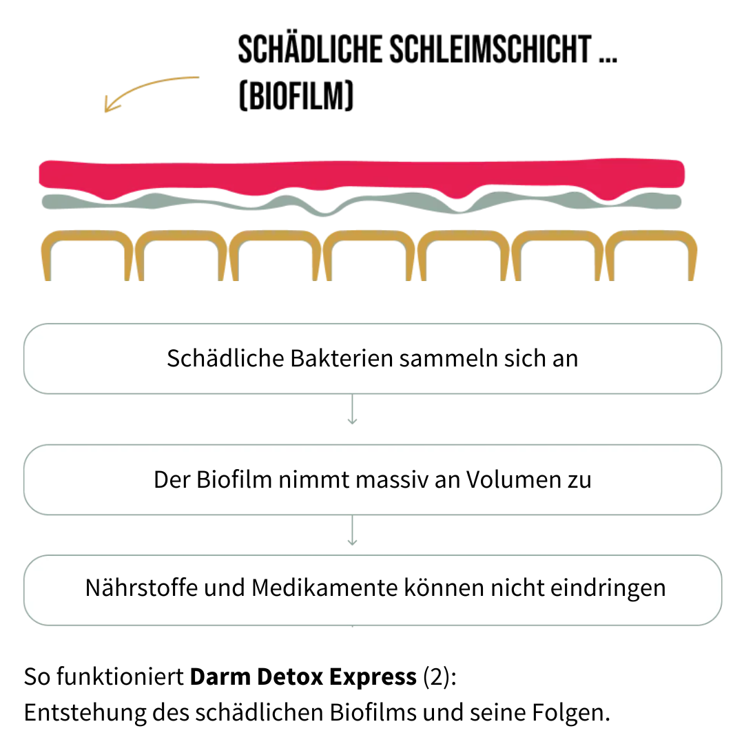 So funktioniert Darm Detox Express 3