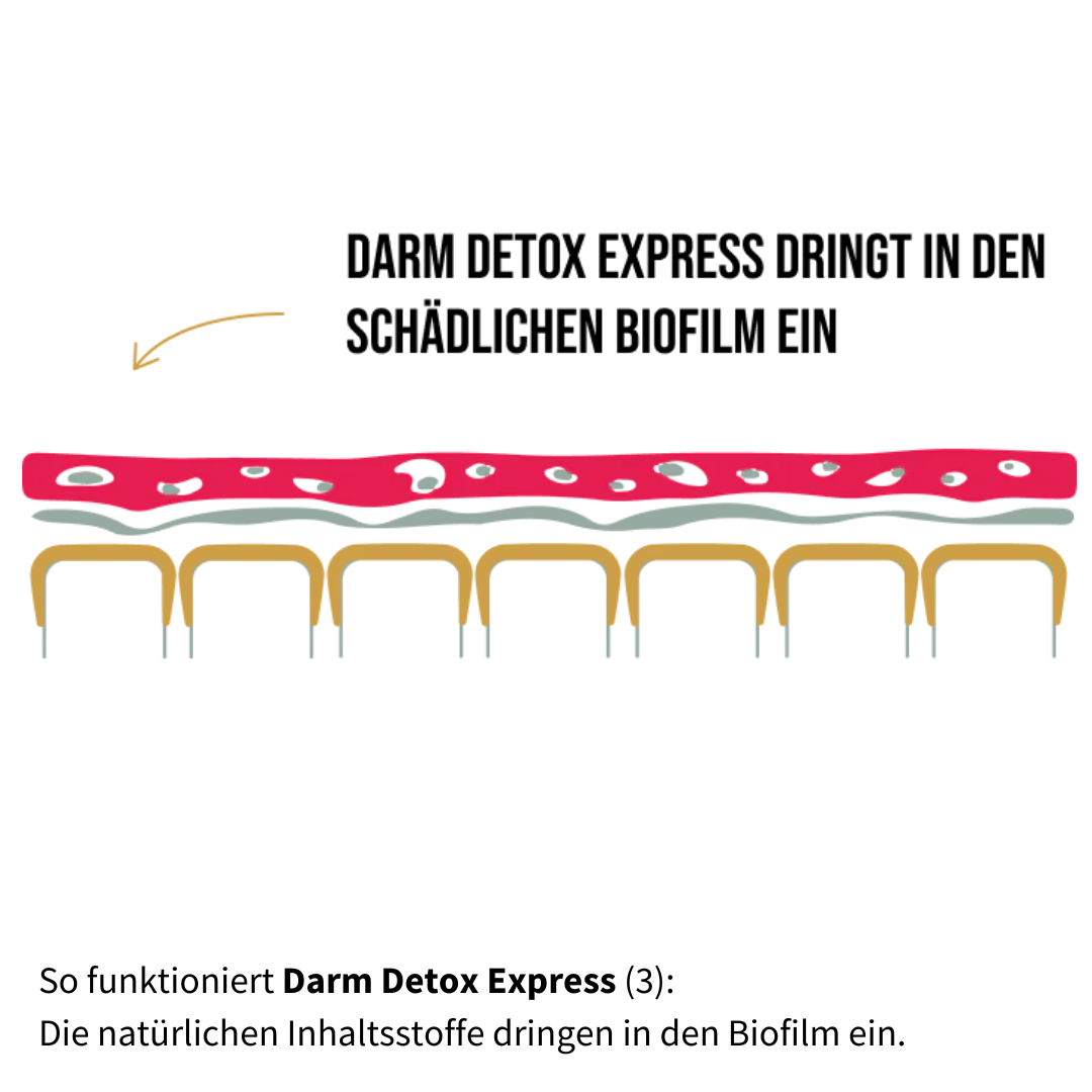 So funktioniert Darm Detox Express 4