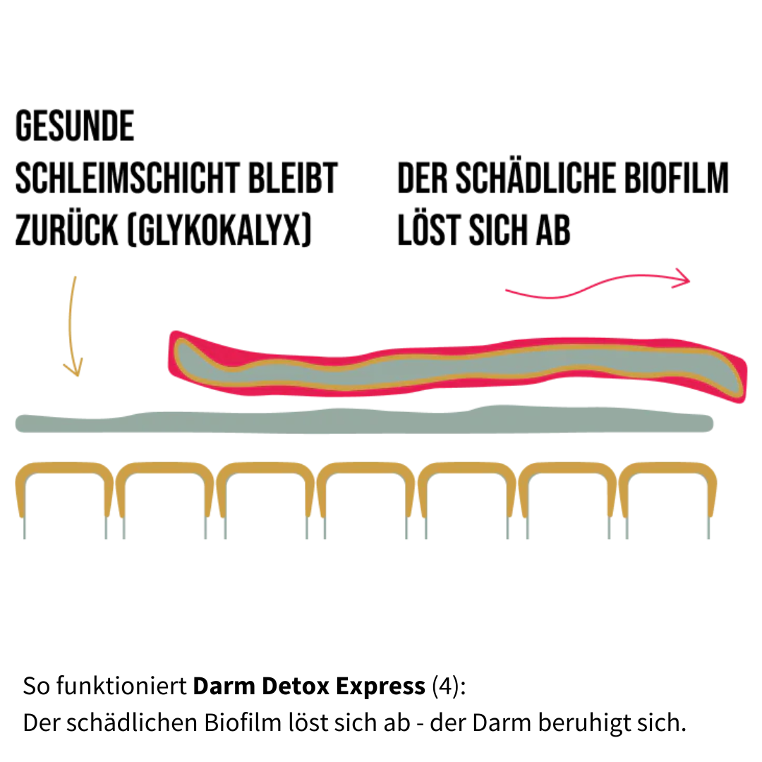 So funktioniert Darm Detox Express 5